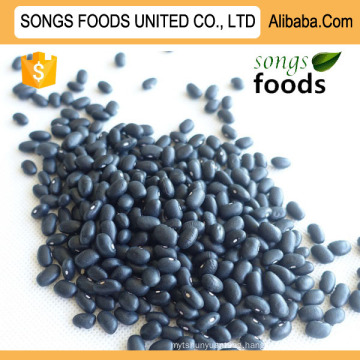 Export Type Black Kidney Beans New Crop